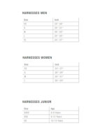 Ion Harnesses Size Chart