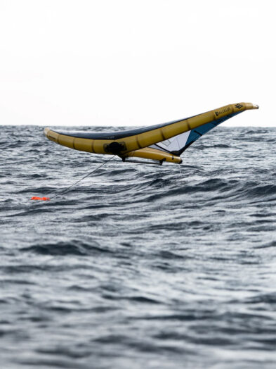 Naish Wing Anchor