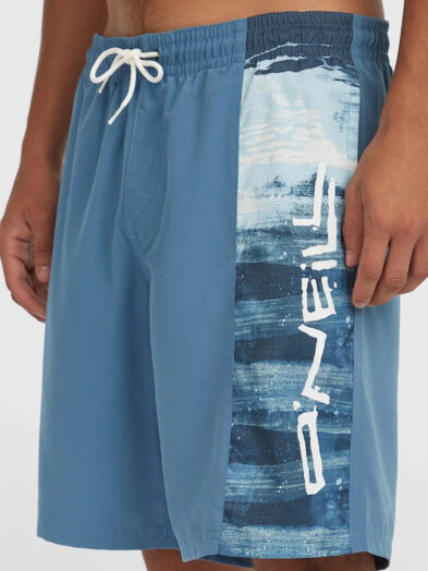 O'Neill Retro 19 Swim Shorts - Blue
