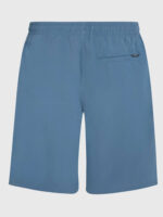 O'Neill Retro 19 Swim Shorts - Blue