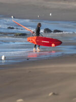 2026 STARBOARD KODE - Carbon Sandwich